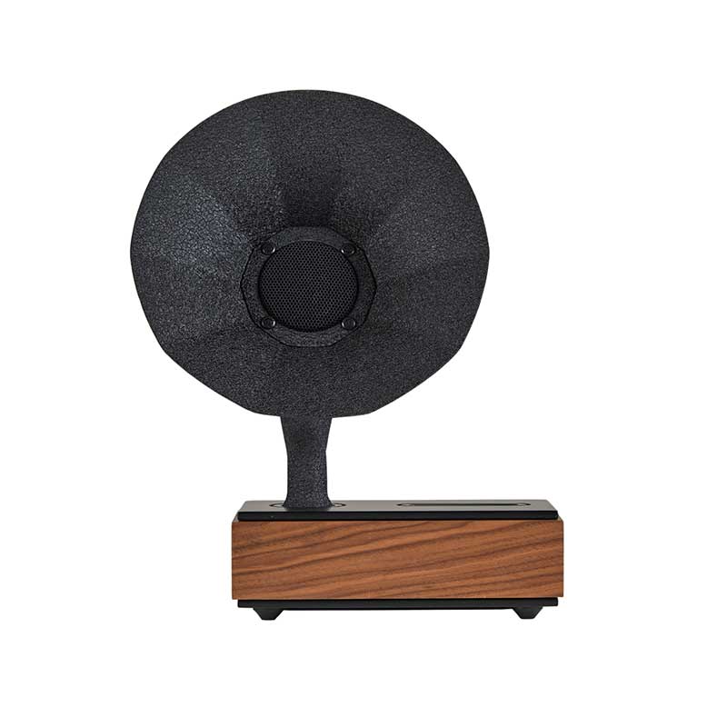 ACOUSTIBOX WALNUT SPEAKER